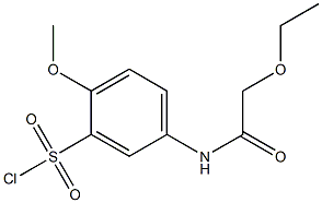 5-(2-ethoxyacetamido)-2-methoxybenzene-1-sulfonyl chloride Struktur