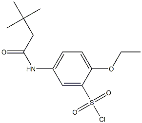 5-(3,3-dimethylbutanamido)-2-ethoxybenzene-1-sulfonyl chloride Struktur