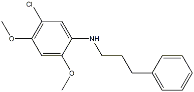 5-chloro-2,4-dimethoxy-N-(3-phenylpropyl)aniline Struktur