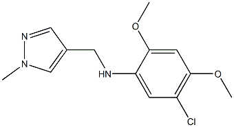 5-chloro-2,4-dimethoxy-N-[(1-methyl-1H-pyrazol-4-yl)methyl]aniline Struktur