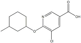 5-chloro-6-[(3-methylcyclohexyl)oxy]pyridine-3-carboxylic acid Struktur