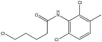 5-chloro-N-(2,6-dichloro-3-methylphenyl)pentanamide Struktur