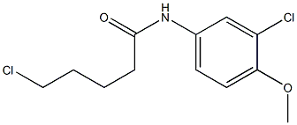 5-chloro-N-(3-chloro-4-methoxyphenyl)pentanamide Struktur