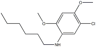 5-chloro-N-hexyl-2,4-dimethoxyaniline Struktur