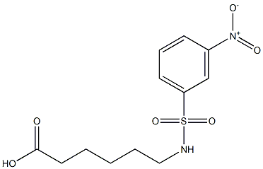 6-[(3-nitrobenzene)sulfonamido]hexanoic acid Struktur