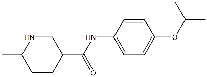 6-methyl-N-[4-(propan-2-yloxy)phenyl]piperidine-3-carboxamide Struktur