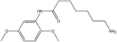 7-amino-N-(2,5-dimethoxyphenyl)heptanamide Struktur