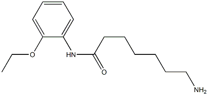 7-amino-N-(2-ethoxyphenyl)heptanamide Struktur