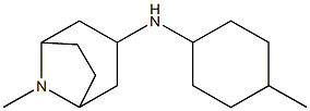 8-methyl-N-(4-methylcyclohexyl)-8-azabicyclo[3.2.1]octan-3-amine Struktur