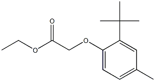 ethyl 2-(2-tert-butyl-4-methylphenoxy)acetate Struktur