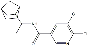 N-(1-{bicyclo[2.2.1]heptan-2-yl}ethyl)-5,6-dichloropyridine-3-carboxamide Struktur