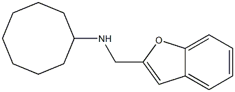 N-(1-benzofuran-2-ylmethyl)cyclooctanamine Struktur