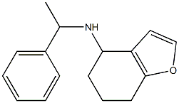 N-(1-phenylethyl)-4,5,6,7-tetrahydro-1-benzofuran-4-amine Struktur