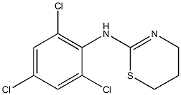 N-(2,4,6-trichlorophenyl)-5,6-dihydro-4H-1,3-thiazin-2-amine Struktur