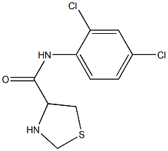 N-(2,4-dichlorophenyl)-1,3-thiazolidine-4-carboxamide Struktur