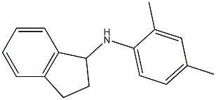 N-(2,4-dimethylphenyl)-2,3-dihydro-1H-inden-1-amine Struktur