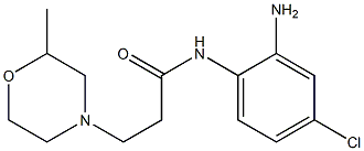 N-(2-amino-4-chlorophenyl)-3-(2-methylmorpholin-4-yl)propanamide Struktur