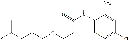 N-(2-amino-4-chlorophenyl)-3-[(4-methylpentyl)oxy]propanamide Struktur