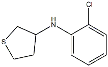 N-(2-chlorophenyl)thiolan-3-amine Struktur