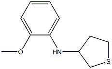 N-(2-methoxyphenyl)thiolan-3-amine Struktur