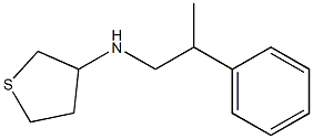 N-(2-phenylpropyl)thiolan-3-amine Struktur