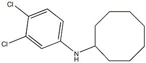 N-(3,4-dichlorophenyl)cyclooctanamine Struktur