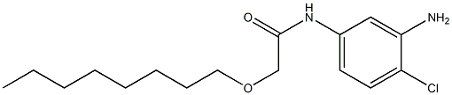 N-(3-amino-4-chlorophenyl)-2-(octyloxy)acetamide Struktur