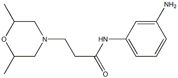 N-(3-aminophenyl)-3-(2,6-dimethylmorpholin-4-yl)propanamide Struktur