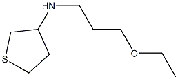 N-(3-ethoxypropyl)thiolan-3-amine Struktur