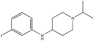 N-(3-iodophenyl)-1-(propan-2-yl)piperidin-4-amine Struktur