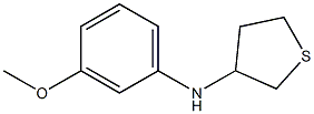 N-(3-methoxyphenyl)thiolan-3-amine Struktur