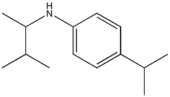 N-(3-methylbutan-2-yl)-4-(propan-2-yl)aniline Struktur