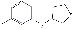 N-(3-methylphenyl)thiolan-3-amine Struktur