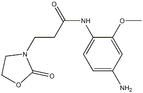 N-(4-amino-2-methoxyphenyl)-3-(2-oxo-1,3-oxazolidin-3-yl)propanamide Struktur