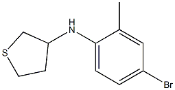 N-(4-bromo-2-methylphenyl)thiolan-3-amine Struktur