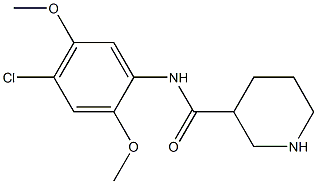 N-(4-chloro-2,5-dimethoxyphenyl)piperidine-3-carboxamide Struktur