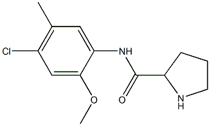 N-(4-chloro-2-methoxy-5-methylphenyl)pyrrolidine-2-carboxamide Struktur