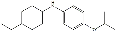 N-(4-ethylcyclohexyl)-4-(propan-2-yloxy)aniline Struktur