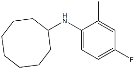 N-(4-fluoro-2-methylphenyl)cyclooctanamine Struktur