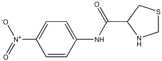 N-(4-nitrophenyl)-1,3-thiazolidine-4-carboxamide Struktur