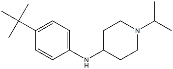 N-(4-tert-butylphenyl)-1-(propan-2-yl)piperidin-4-amine Struktur