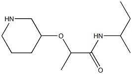 N-(butan-2-yl)-2-(piperidin-3-yloxy)propanamide Struktur