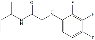 N-(butan-2-yl)-2-[(2,3,4-trifluorophenyl)amino]acetamide Struktur