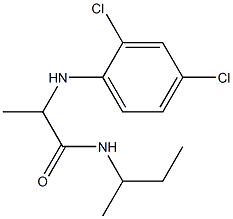 N-(butan-2-yl)-2-[(2,4-dichlorophenyl)amino]propanamide Struktur