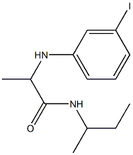 N-(butan-2-yl)-2-[(3-iodophenyl)amino]propanamide Struktur