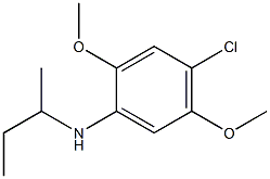 N-(butan-2-yl)-4-chloro-2,5-dimethoxyaniline Struktur