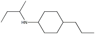 N-(butan-2-yl)-4-propylcyclohexan-1-amine Struktur