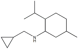 N-(cyclopropylmethyl)-5-methyl-2-(propan-2-yl)cyclohexan-1-amine Struktur