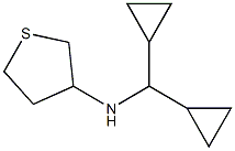 N-(dicyclopropylmethyl)thiolan-3-amine Struktur