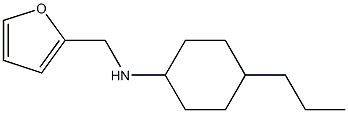 N-(furan-2-ylmethyl)-4-propylcyclohexan-1-amine Struktur